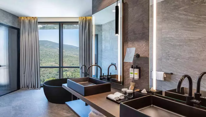 هتل پولمن اکسس تاورز تفلیس